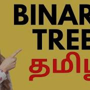 Binary Tree In Python Data Structures Tamil