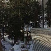 Slow Motion Video Of Monkey Jumping