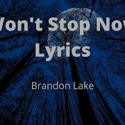 Won T Stop Now Lyrics By Elevation Worship Ft Brandon Lake