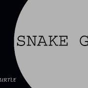 Classic Snake Game Python Turtle Graphics