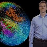 Single Cell Imaging And Reconstructing Mouse Development Philipp Keller Janelia HHMI