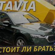 Какие сюрпризы могут ждать владельца подержанной Skoda Octavia 4 поколения Подержанные автомобили