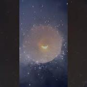 We Make The Big Bang With Chakri Firework Shorts