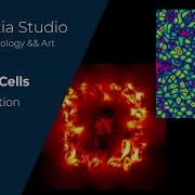 Houdini Tutorial Organic Cells 2D Animation With Pyro