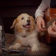 Passion Pit Take A Walk Ft Maple On The Drums