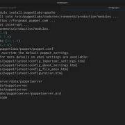 Hands On Infrastructure Automation With Puppet 6 The Puppet Forge Packtpub Com
