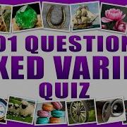 Can Your Reach Einstein Level On This BIG Variety Quiz 101 Questions