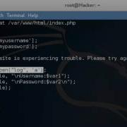 HTML Injections Describing The Action Script