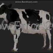 Cow Error 201