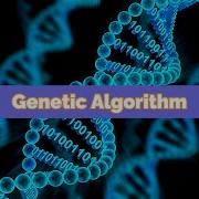 Genetic Algorithm Explanation And Demo