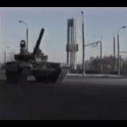 Дельфин Снег