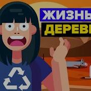 Сможет ли человечество выжить без деревьев