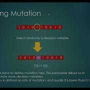 12 Genetic Algorithm Improving Mutation