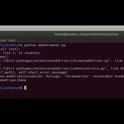 How To Fix Selenium Error Python Message Chromedriver Executable Needs To Be In PATH