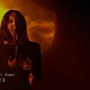 歌手2024 第三期纯享版Faouzia Desert Rose Singer 2024 Faouzia Desert Rose