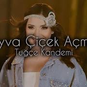 Tuğçe Kandemir Ayva Çiçek Açmış Ufuk Kaplan X Samet Ervas Remix
