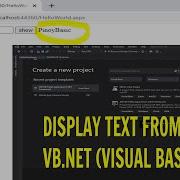 VB NET Tutorial Display Text Input VISUAL BASIC