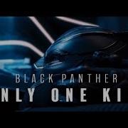Black Panther MV Only One King