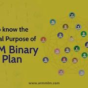 Binary MLM Plan Software MLM Compensation Plan MLM Business