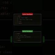 Junior Vs Senior Developer Programming Html Javascript Webdevelopment Html5 Webdesign Css3