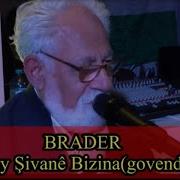 Brader Şivano 12 April 2024
