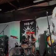 Mob 47 Upp Till Oss Animal Liberation Live 2025