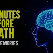 What Happens In Your Brain 7 Minutes Before You Die