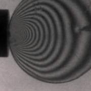 The Study Of Shock Wave Compression On Polymers