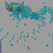 Frantic 2 Episode 2 Stage 2 Frantic Difficulty Unharmed