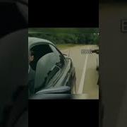 Programmer Vs Bug Vs Stack Battle Shorts Codingstatus Developerslife Programmers Coding