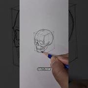 Drawing Skull Using Cuboids SinArty Skull Sinarty Drawing