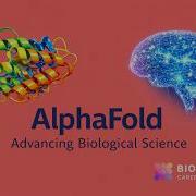 AlphaFold объяснение того как искусственный интеллект Google DeepMind получил Нобелевскую преми