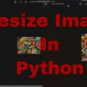 Python Image Processing Tutorial For Beginners Resize Image In Python Code