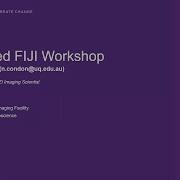 Advanced FIJI Workshop