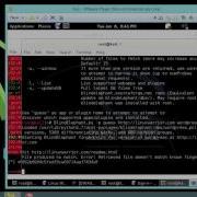 M14 SQL Injection BlindElephant