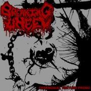 Breaking Wheel Ceremonial Torture Promo