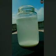Calcium Hydroxide Shorts Dk C S