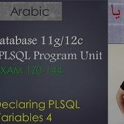9 125 Oracle PLSQL Declaring PLSQL Variables 4