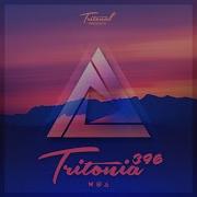 Adelphi 88 Tritonia 396