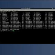 How To Kill Process In Linux Debian Ubuntu Etc