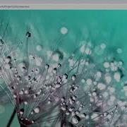 New Water Ripple Effect Using Only Html Css And Jquery Plugin 2020