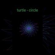 Python Turtle Project For Beginners Viral Shorts Trending Python3