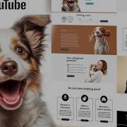 No Code Website Built Time Lapse Using Photoshop Timelapse Photoshop Websitedesign