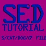 SED Like Head To Display Top Of File Linux Shell Tutorial BASH Delete Lines