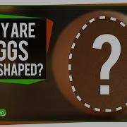 Why Are Eggs Egg Shaped