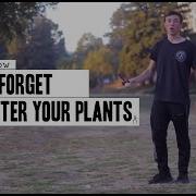 Jacob Low Don T Forget To Water Your Plants