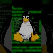 Remote PC Access SSH Network Protocol Sysadmin Pc Computer Remotework Network Shorts
