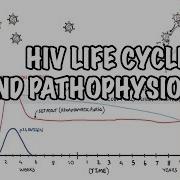 Human Immunodeficiency Virus HIV Life Cycle Pathophysiology Investigations Diagnosis And AIDS