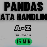 Class 12 IP Data Handling With Pandas INFORMATICS PRACTICES Code 065 CBSE BOARDS 2025 26