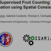 Weakly Supervised Fruit Counting For Yield Estimation Using Spatial Consistency Pitch Video